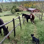 Nocleg ze śniadaniem Collina Blu 4*