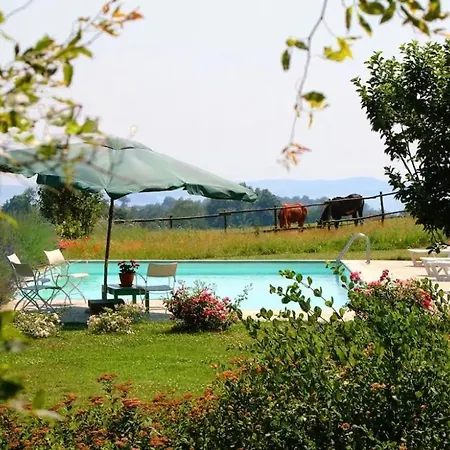 Collina Blu Bed & Breakfast