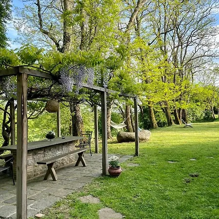 Bed & Breakfast Collina Blu Bolsena