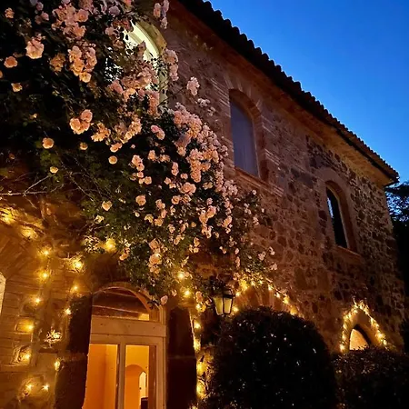 Collina Blu 4* 博尔塞纳
