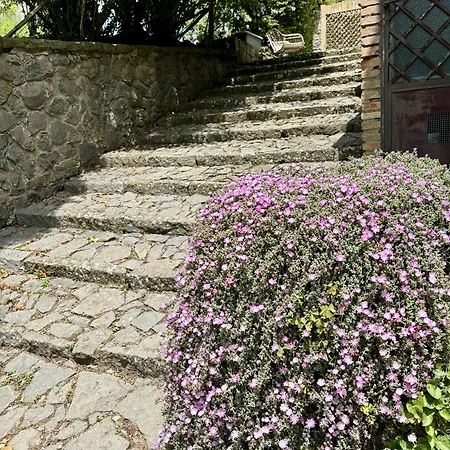 Collina Blu 4* Больсена
