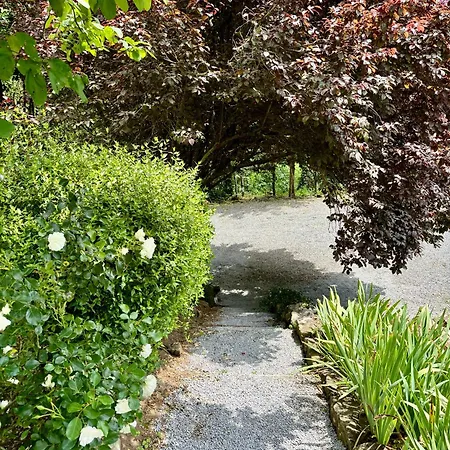 Collina Blu Bed & Breakfast