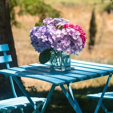 Collina Blu 4* Bolsena