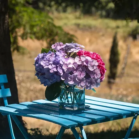 Bed & Breakfast Collina Blu *