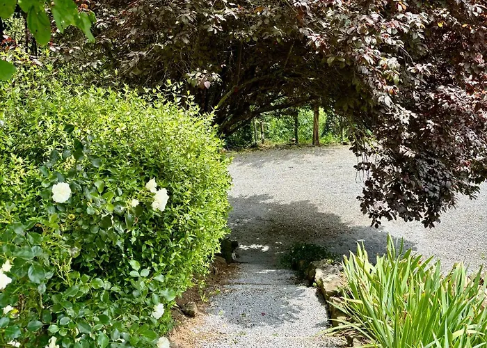 Collina Blu Bed & Breakfast