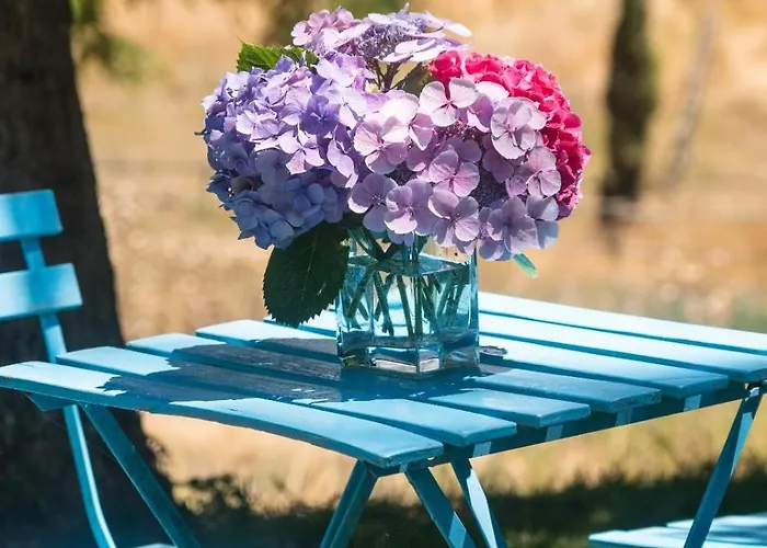 Collina Blu 4* Bolsena