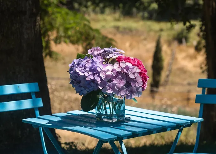 Bed & Breakfast Collina Blu 4*